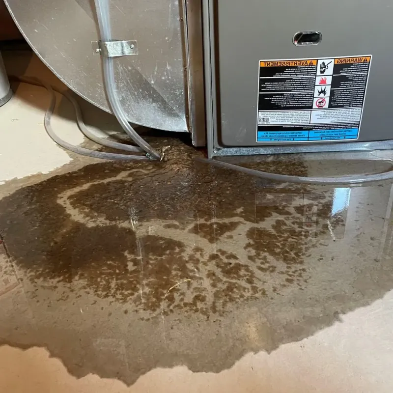 Pipe Burst and Leak Restoration in Ridgefield, NJ