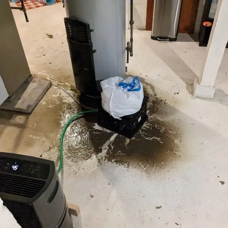 Sewage Backup Cleanup Service in Ridgefield, NJ